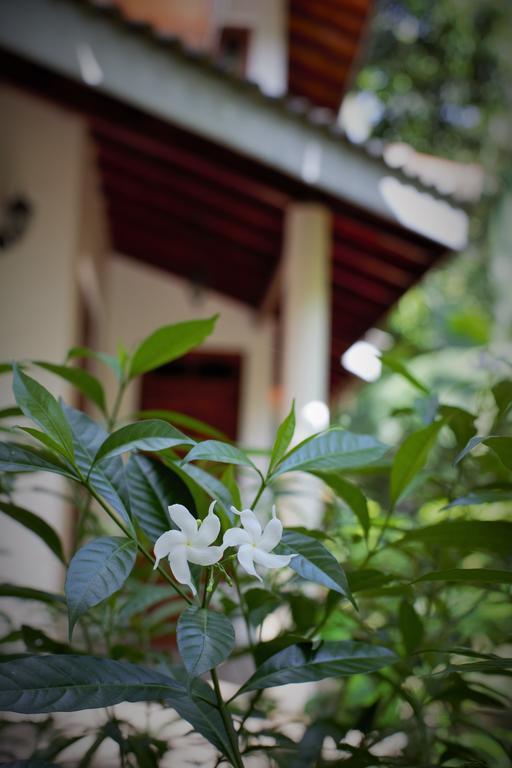 Binara Home Stay โปลอนนารูวา ภายนอก รูปภาพ
