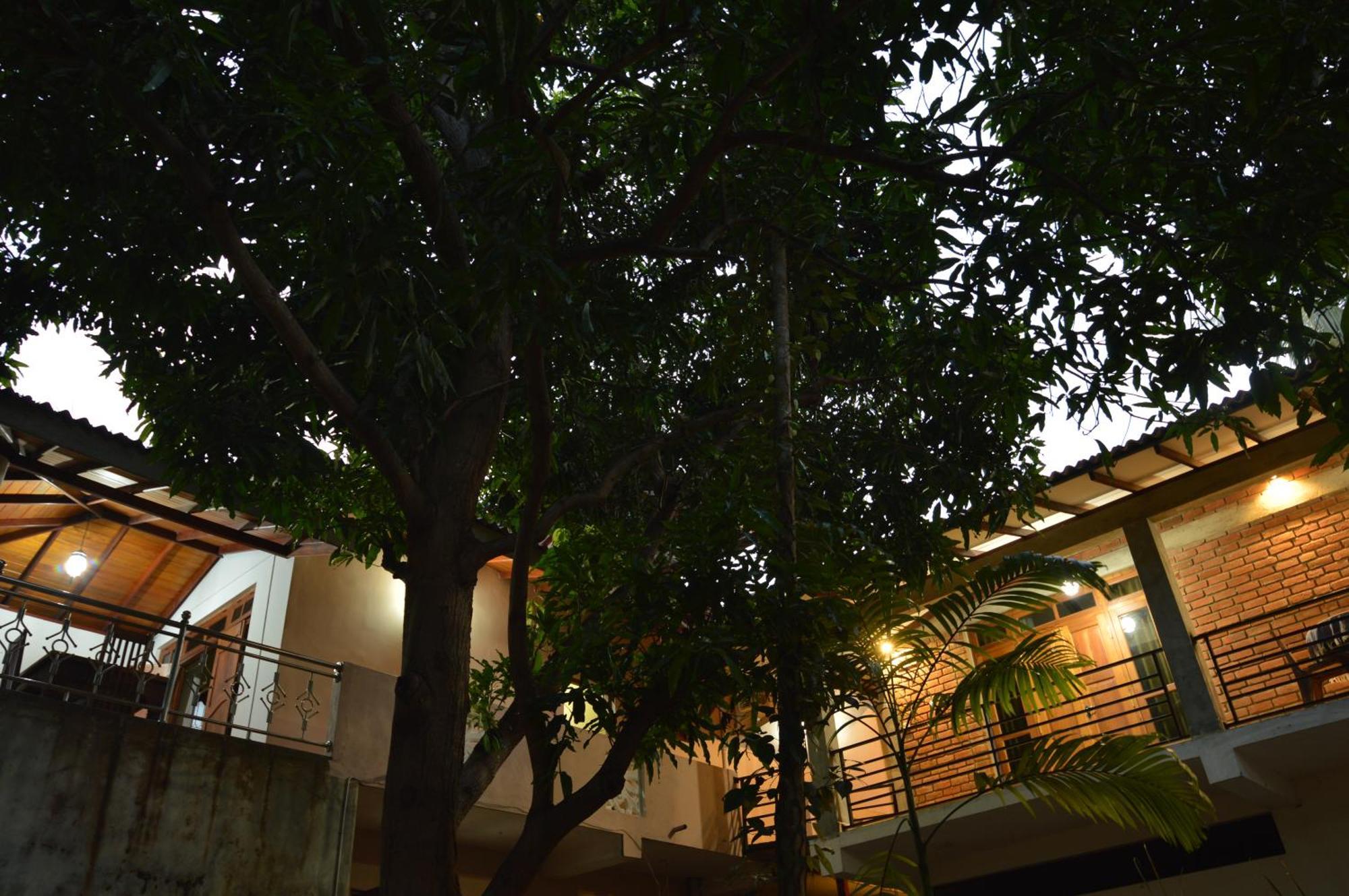 Binara Home Stay โปลอนนารูวา ภายนอก รูปภาพ