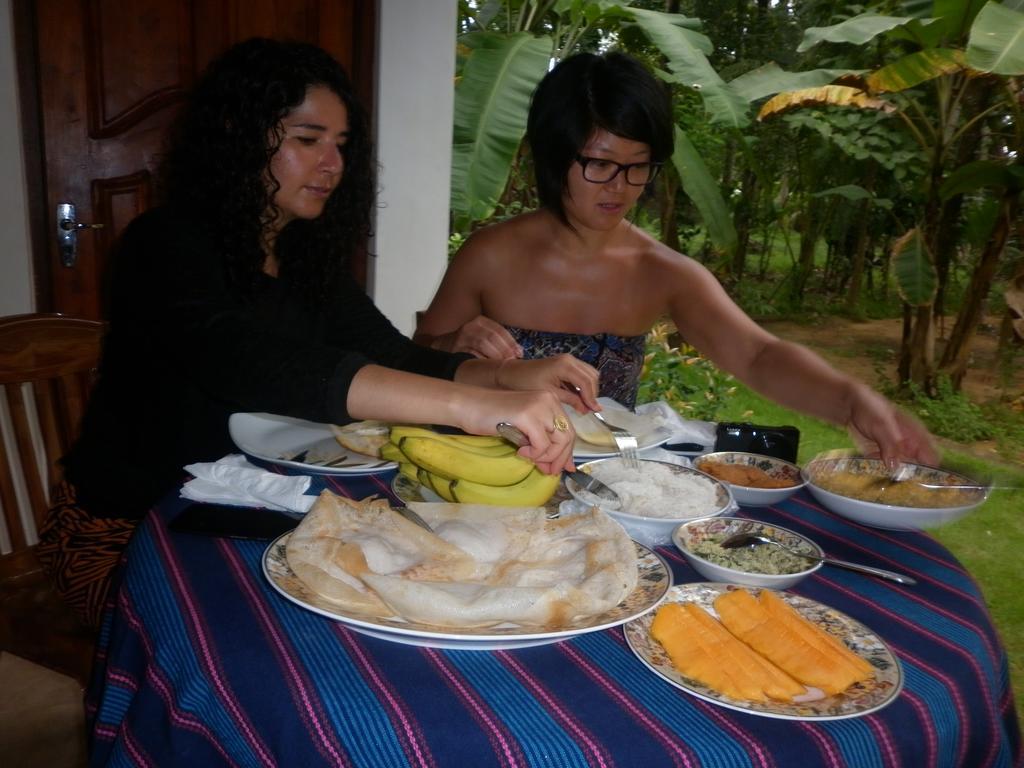 Binara Home Stay โปลอนนารูวา ภายนอก รูปภาพ