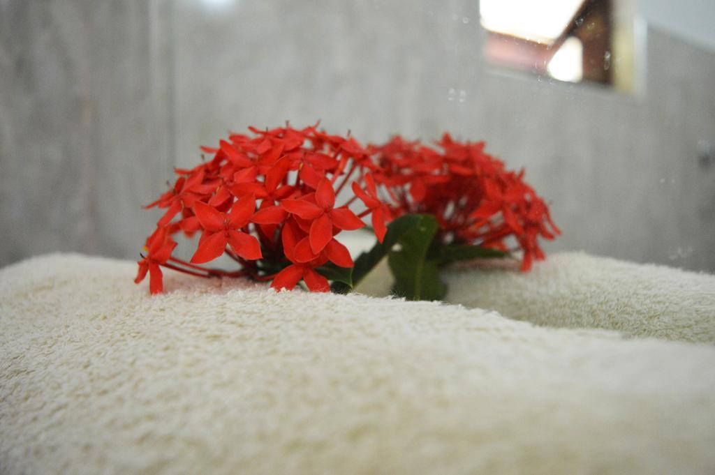 Binara Home Stay โปลอนนารูวา ห้อง รูปภาพ
