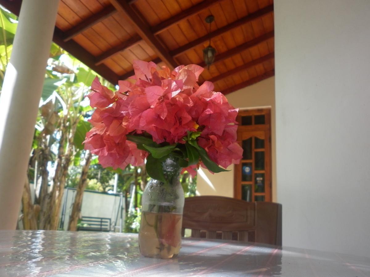 Binara Home Stay โปลอนนารูวา ภายนอก รูปภาพ
